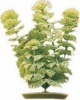 Фото товара Растение пластиковое Hagen Ambulia 30 см (РР1202)