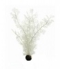 Фото товара Растение пластиковое Biorb Sea Fan Морской Веер белый L (PL16)