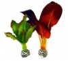 Фото товара Растение пластиковое Biorb Easy Plant шелк красный/зеленый M (2 шт.) (SP03)