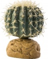 Фото Растение Hagen Barrel Cactus small (РТ2980)