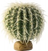Фото товара Растение Hagen Barrel Cactus large (РТ2985)