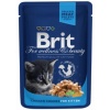 Фото товара Консервы для котов Brit Premium Cat pouch курица для котят 100 г (100274 /506026)