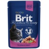 Фото товара Консервы для котов Brit Premium Cat pouch лосось и форель 100 г (100271 /505999)