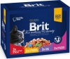 Фото товара Консервы для котов Brit Premium Cat pouch семейная тарелка ассорти 4 вкуса 1200 г (100278 /506255)