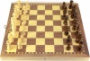 Фото товара Шахматы Arjuna магнитные 29x29x2 см (29816)