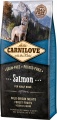 Фото Корм для собак Carnilove Salmon Adult 12 кг (150819/8907)