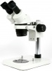 Фото товара Микроскоп ST-series ST60-24B1 (8596)
