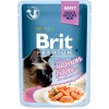 Фото товара Консервы для котов Brit Premium Cat pouch филе лосося в соусе для стерилизованных 85 г (111254/562)