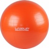 Фото товара Мяч для фитнеса LiveUp Gym Ball 55 см (LS3221-55o)
