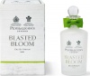 Фото товара Парфюмированная вода Penhaligon'S Blasted Bloom EDP 100 ml